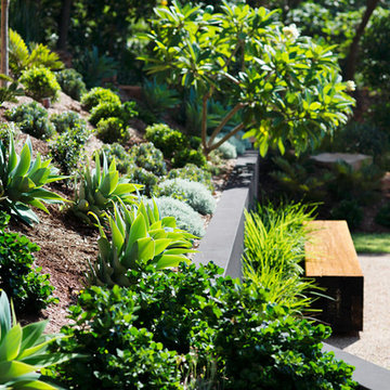 Wategoes, Byron Bay