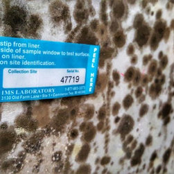 Mold Testing - Products