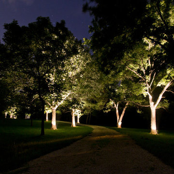 Wilson Lighting Landscape Lighting