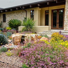 Front yard/back yard
