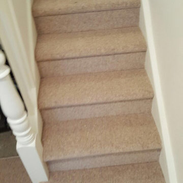 Plain Carpet to Stairs in Private Residence