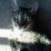 Kate DeJongh's photo