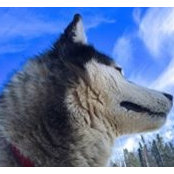 Margaret Nelson's photo