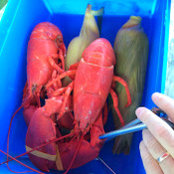 Jan Williams's photo