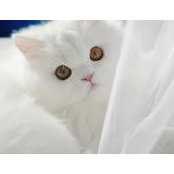 Maggy Aly's photo