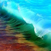Kathy Kaya's photo