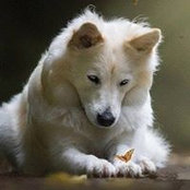 Katie Paust's photo
