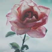Asma Jeri's photo