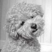 Jodi Fishman's photo