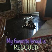 Diane Poulin's photo