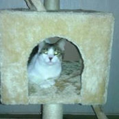 Foto de Kathy Carse