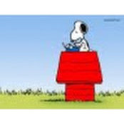 Tanya Herrera's photo