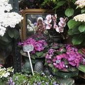 Cassandra Morton's photo