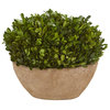 12" Boxwood Preserved Plant, Oval Planter