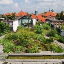 HOUSE & ROOF