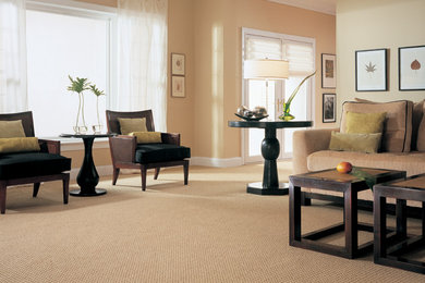 Stainmaster Carpets