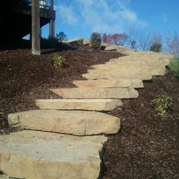 Our Work