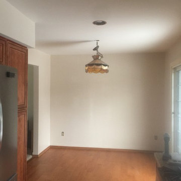 Dennis's Do It Yourself Wallpaper Removal