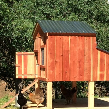 Chicken Coops