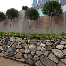 Landscape Ideas