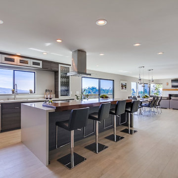 La Mesa_Modern Kitchen_Whole Home Remodel