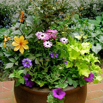 Container Gardening