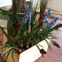 Flower Boxes