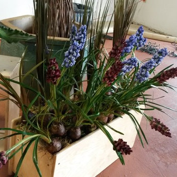 In store pre-designed Arrangements @ AccentSilk 15315 Midway Rd. Addison Texas