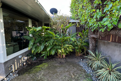 Land Scape Design