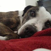 Jason Jarrett's photo
