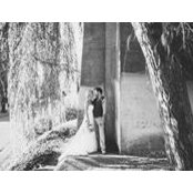 Amy Gonnella's photo
