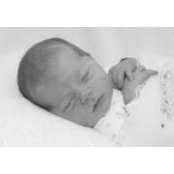 Toby Lyng's photo