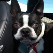 Nicole Valdez's photo