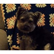Joyce Eakes's photo