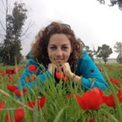 Sharon Schwartzman's photo