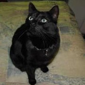 Bern LeBlanc's photo