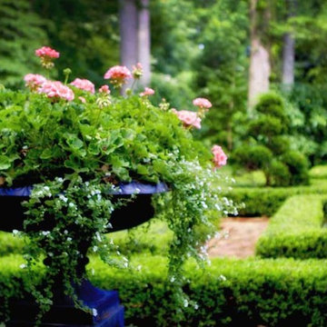 Colonial Williamsburg Inspired