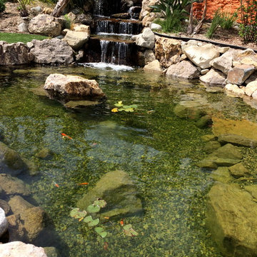 Cesar Millan's Desert Oasis