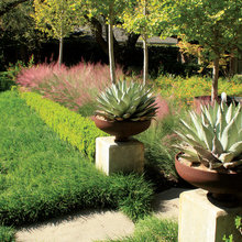 Landscaping Ideas