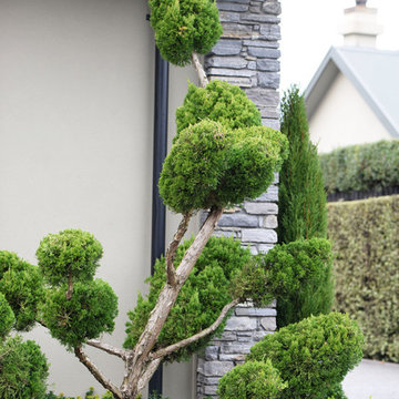 Casebrook Residence