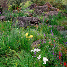 Natural Garden