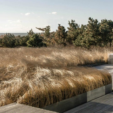 ASLA 2013 Award of Excellence: Sagaponack Residence by LaGuardia Design