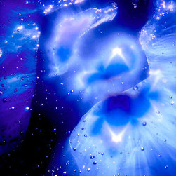 The Living Light: Arrival - Fine Art Prints