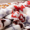 Southwestern Havana Geometric Soft Plush Fleece Throw Blanket, 63"x90"