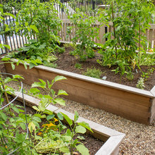 Outdoor food garden