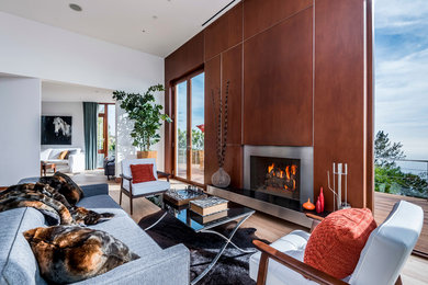 Living room - modern living room idea in Los Angeles