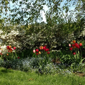 Garden Vistas