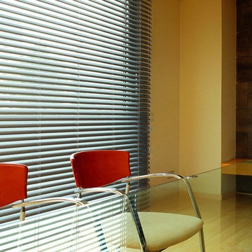 Horizontal Blinds
