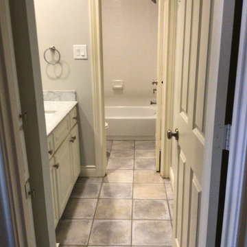 Guest Bathroom Renovation - Spring Valley Village