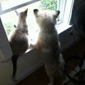 Tracy Aarf's photo